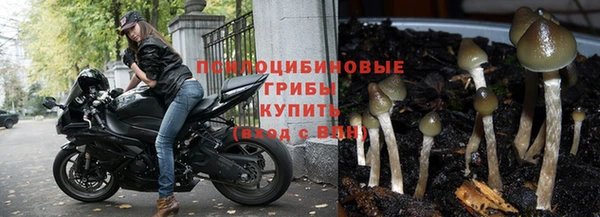 кокс Осинники